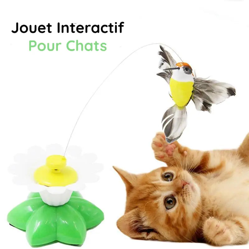 Jouet Interactif Oiseau pour Chats - CanineConfort™