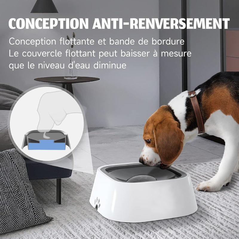 Gamelle anti éclaboussure - CanineConfort™
