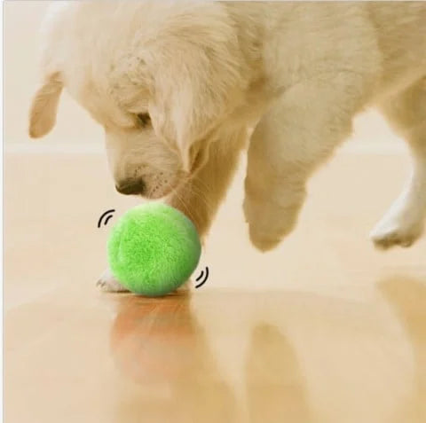 Balle Interactive Automatique - CanineConfort™