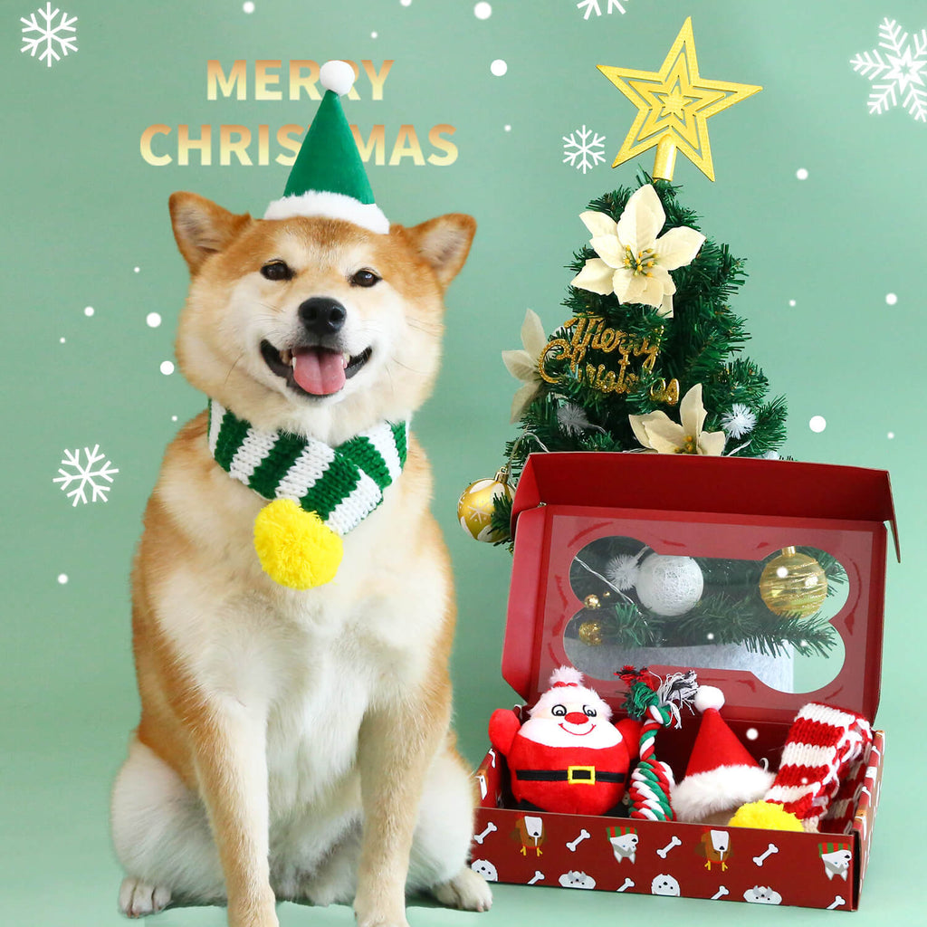 Ensemble de Jeux de Noël pour Chien avec Bonnet, Écharpe et Jouet - Vert - CanineConfort™