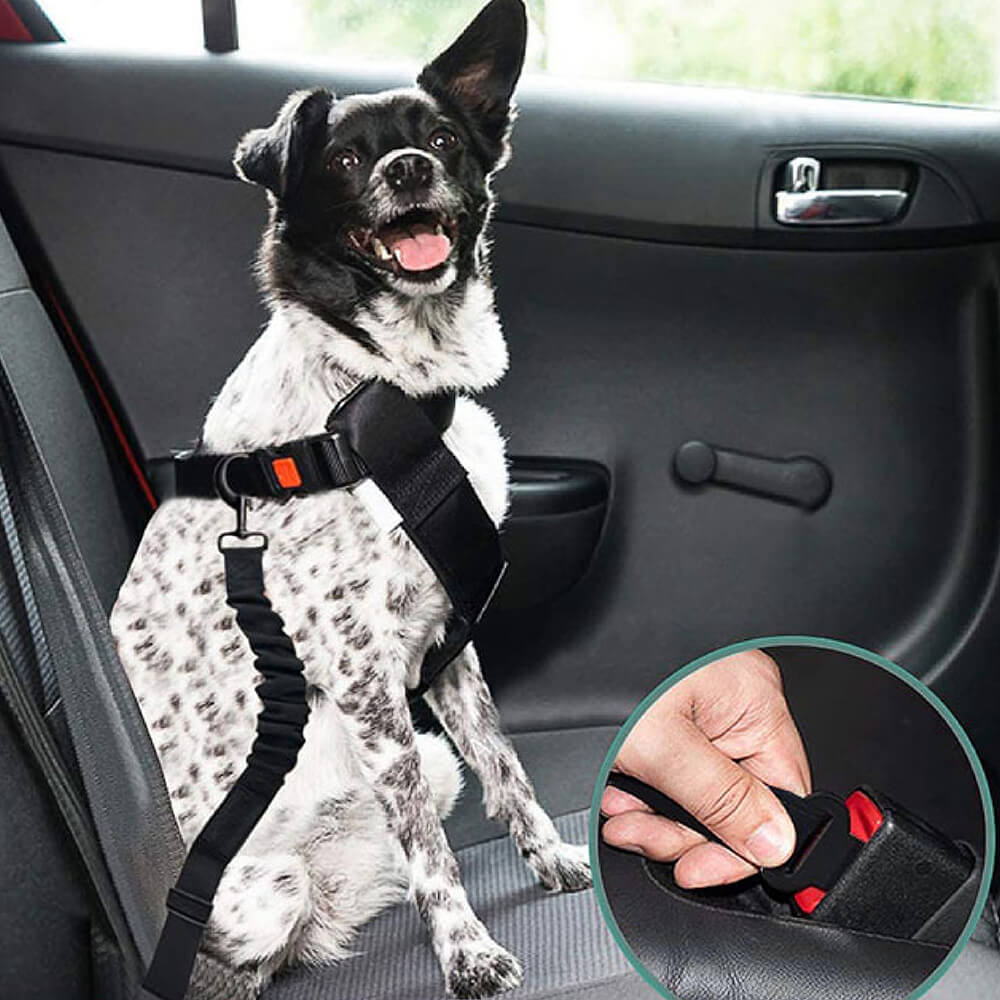 Ceinture de sécurité ajustable pour chien - CanineConfort™